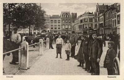 2649 Gezicht op het Vredenburg te Utrecht tijdens de veemarkt; op de achtergrond de noordzijde van het Vredenburg.